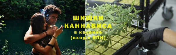 стаф Инсар