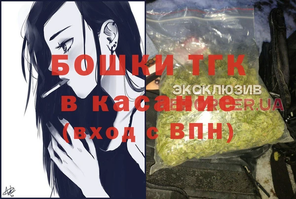 гидропоника Инта
