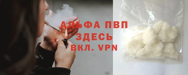 стаф Инсар