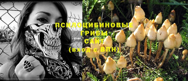 гидропоника Инта