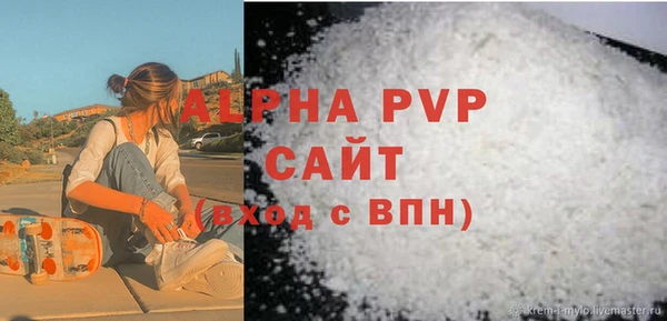 стаф Инсар