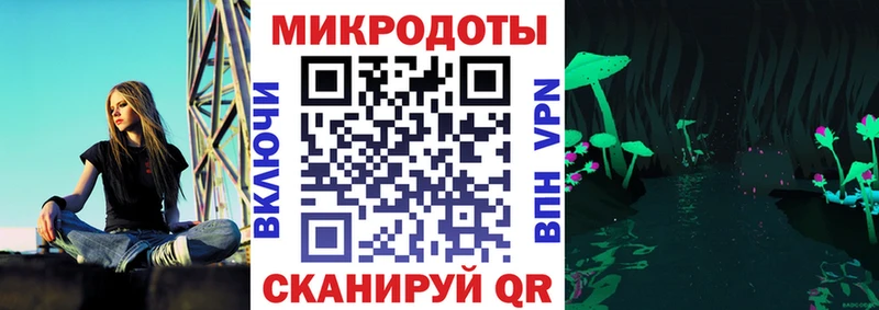 Купить  Калтан  Псилоцибиновые грибы Magic Shrooms 
